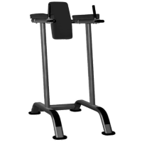 Поднятие коленей/брусья AeroFit Impulse Techno IT7010